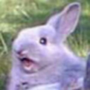 Meet your Posher, Aimee